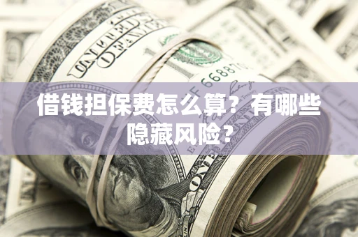 武汉借钱担保费怎么算？有哪些隐藏风险？