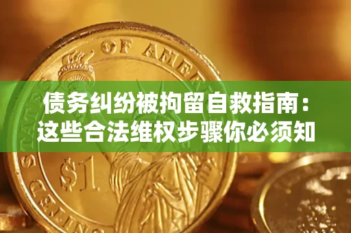 武汉债务纠纷被拘留自救指南：这些合法维权步骤你必须知道！