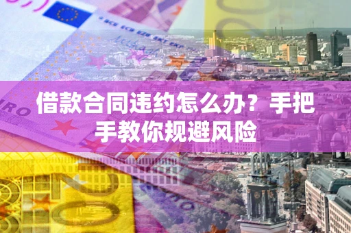 武汉借款合同违约怎么办？手把手教你规避风险
