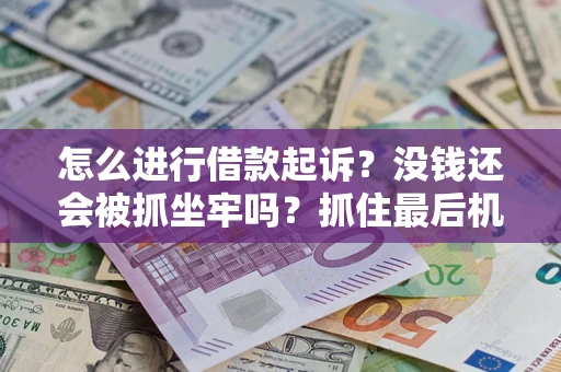 武汉怎么进行借款起诉？没钱还会被抓坐牢吗？抓住最后机会！