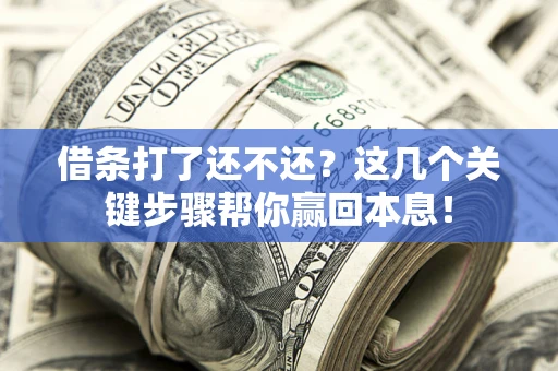 武汉借条打了还不还？这几个关键步骤帮你赢回本息！