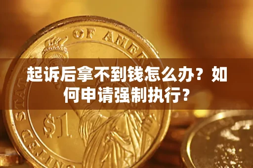 武汉起诉后拿不到钱怎么办？如何申请强制执行？