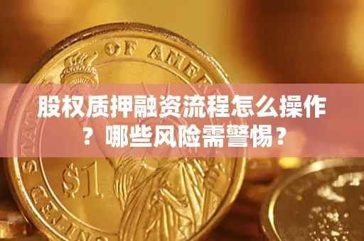 武汉股权质押融资流程怎么操作？哪些风险需警惕？