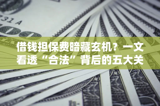 武汉借钱担保费暗藏玄机？一文看透“合法”背后的五大关键陷阱