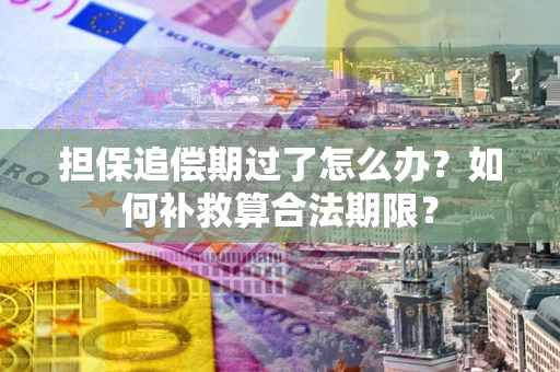 武汉担保追偿期过了怎么办？如何补救算合法期限？