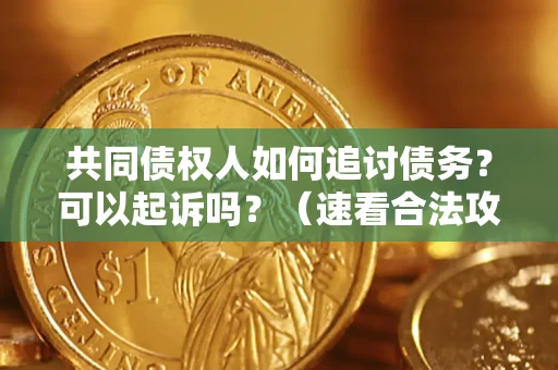 武汉共同债权人如何追讨债务？可以起诉吗？（速看合法攻略）