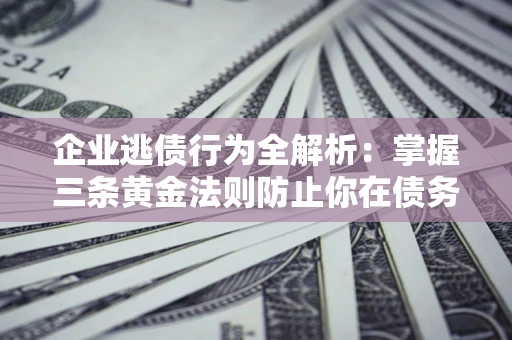 武汉企业逃债行为全解析：掌握三条黄金法则防止你在债务乱局中“踩雷”