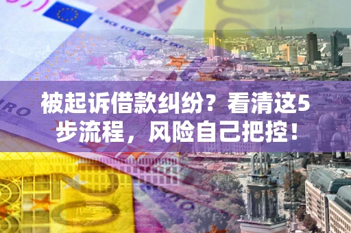 武汉被起诉借款纠纷？看清这5步流程，风险自己把控！