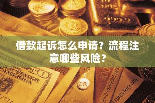武汉借款起诉怎么申请？流程注意哪些风险？