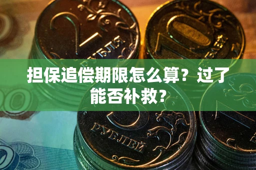 武汉担保追偿期限怎么算？过了能否补救？